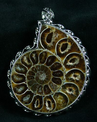 Large Fossil Ammonite Pendant - Tall #8282